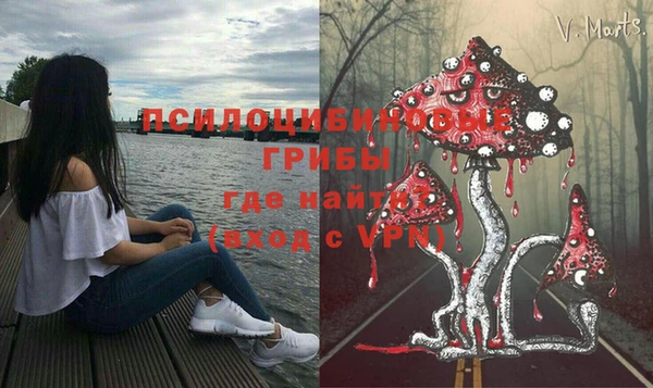 СК Алексеевка