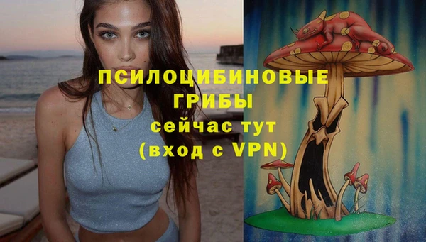 Альфа ПВП Абаза