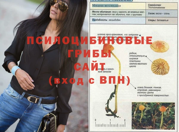СК Алексеевка