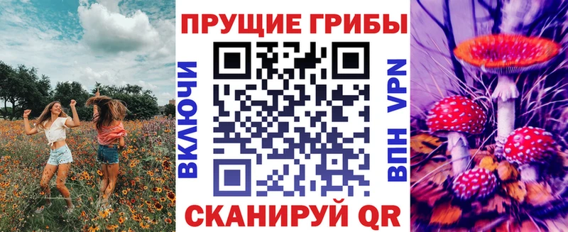 Галлюциногенные грибы Psilocybine cubensis Зубцов